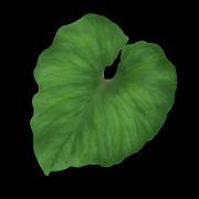 黄姓虎宝宝取名攻略，寓意，独具个性,象征,希望,宝宝取名,第1张