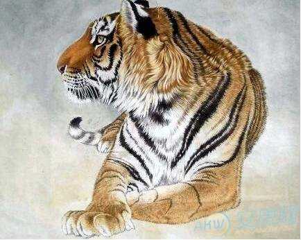 生肖属虎今日运势方位详解，把握良机，顺风顺水,事业,合作,财运,第1张