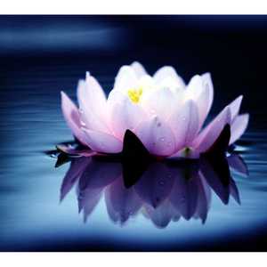 求签12，探寻文化的神秘面纱,希望,求签,祈福,第1张