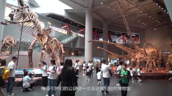 揭秘算命的科学奥秘，探究命理学的科学命名与内在逻辑,命运,事业,八字,第1张