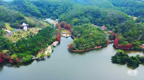 探寻宝地,揭秘哪些植物园极佳,希望,气场,能量,第1张 探寻宝地,揭秘哪些植物园极佳,希望,气场,能量,第1张