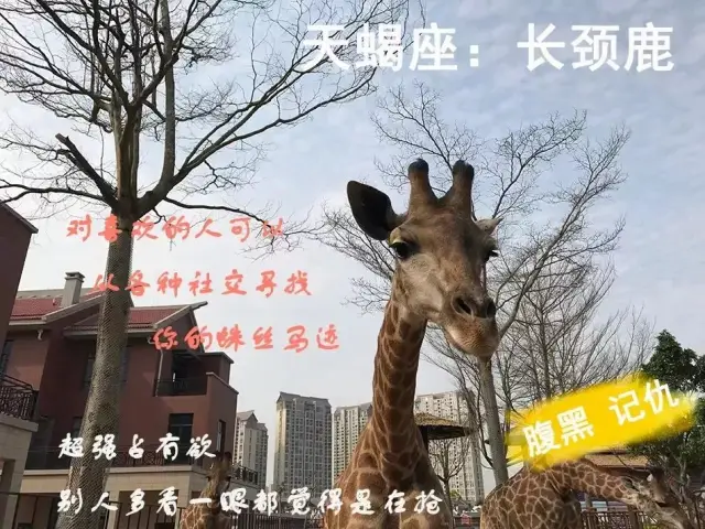 十二星座生气时的动物本性,揭秘星座性格的另类解读,希望,十二星座,星座,第1张 十二星座生气时的动物本性,揭秘星座性格的另类解读,希望,十二星座,星座,第1张