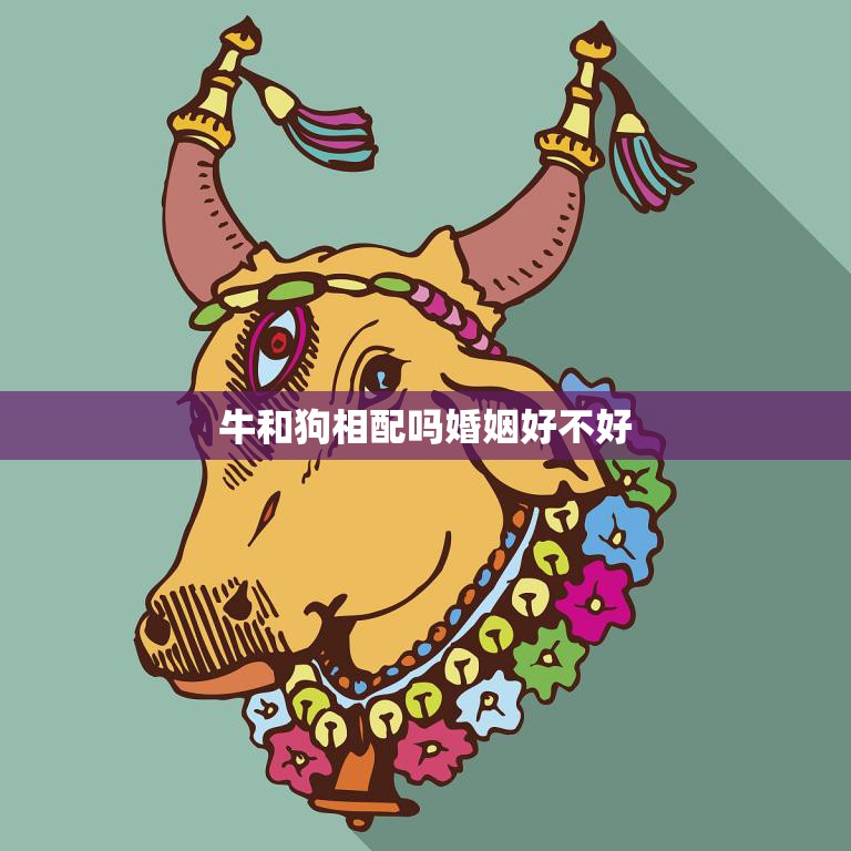 生肖狗与生肖牛的婚姻运势，和谐共生，幸福长久,命运,事业,第1张