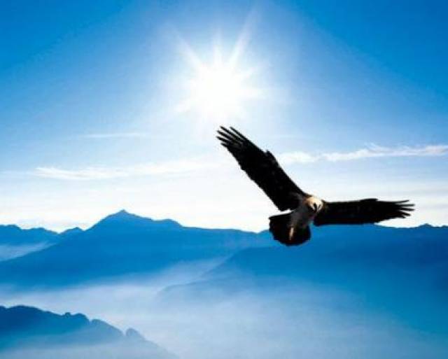 生肖羊本周事业运势详解，稳步上升，宜把握机遇,事业,合作,认可,第1张