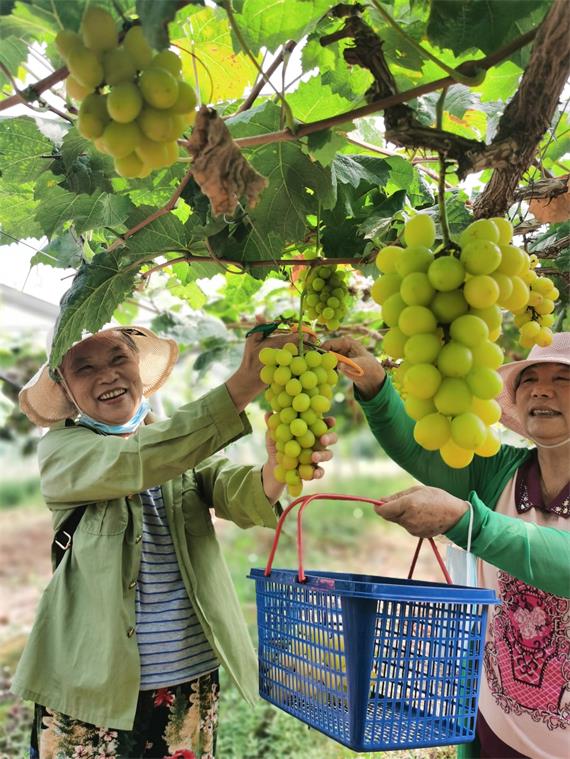 公司取名吉凶查询，为企业文化底蕴奠定基石,命运,事业,希望,第1张