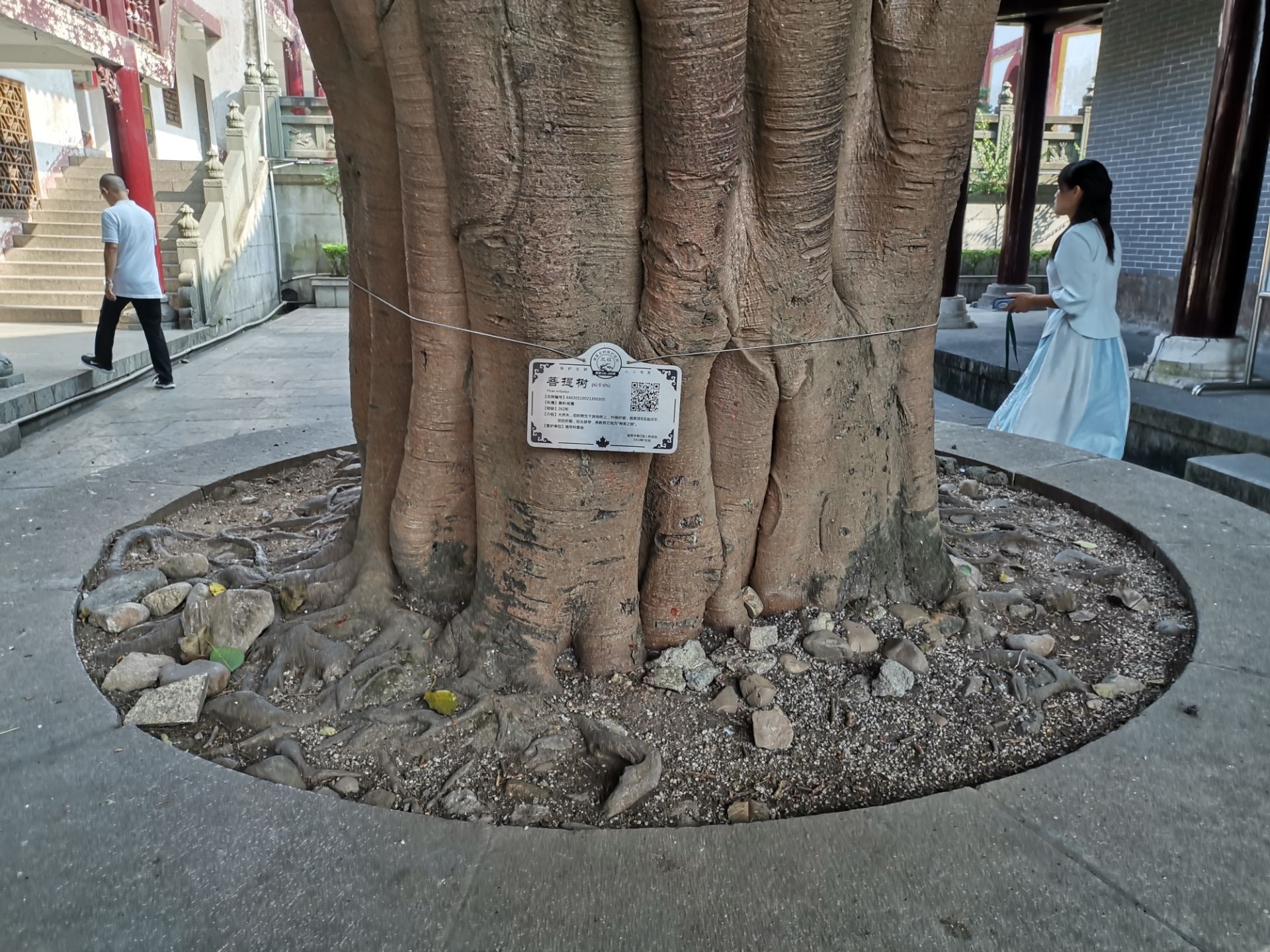 探寻南华寺求签之谜,神秘求签处究竟位于何处?,求签,美好,解读,第1张 探寻南华寺求签之谜,神秘求签处究竟位于何处?,求签,美好,解读,第1张