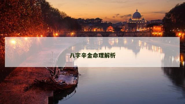 辛金八字测算方法全解析,揭秘八字测算的奥秘,命运,事业,希望,第1张 辛金八字测算方法全解析,揭秘八字测算的奥秘,命运,事业,希望,第1张
