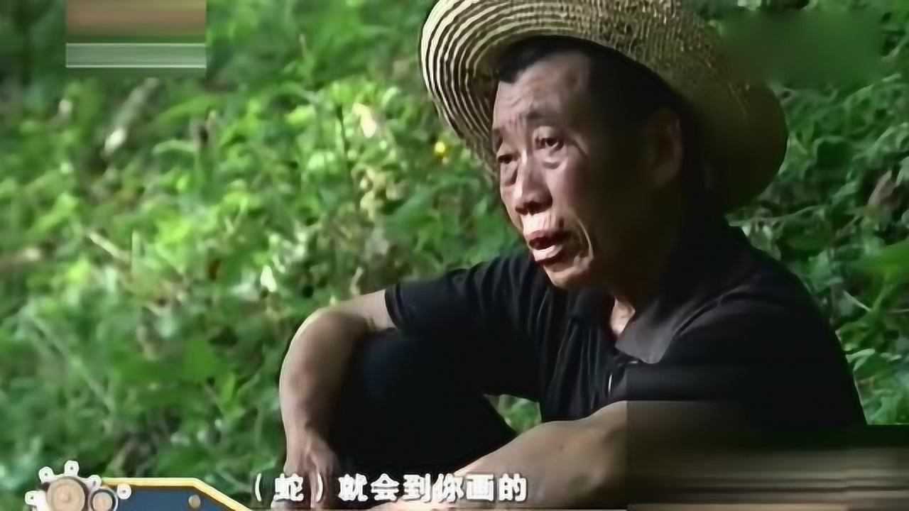 揭秘算命跪下的神秘原因，与传统的交,希望,算命,第1张