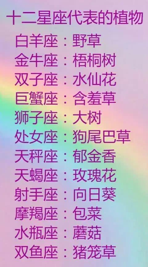 十二星座象征着什么花,探寻星座与花卉之间的神秘联,象征,希望,十二星座,第1张 十二星座象征着什么花,探寻星座与花卉之间的神秘联,象征,希望,十二星座,第1张