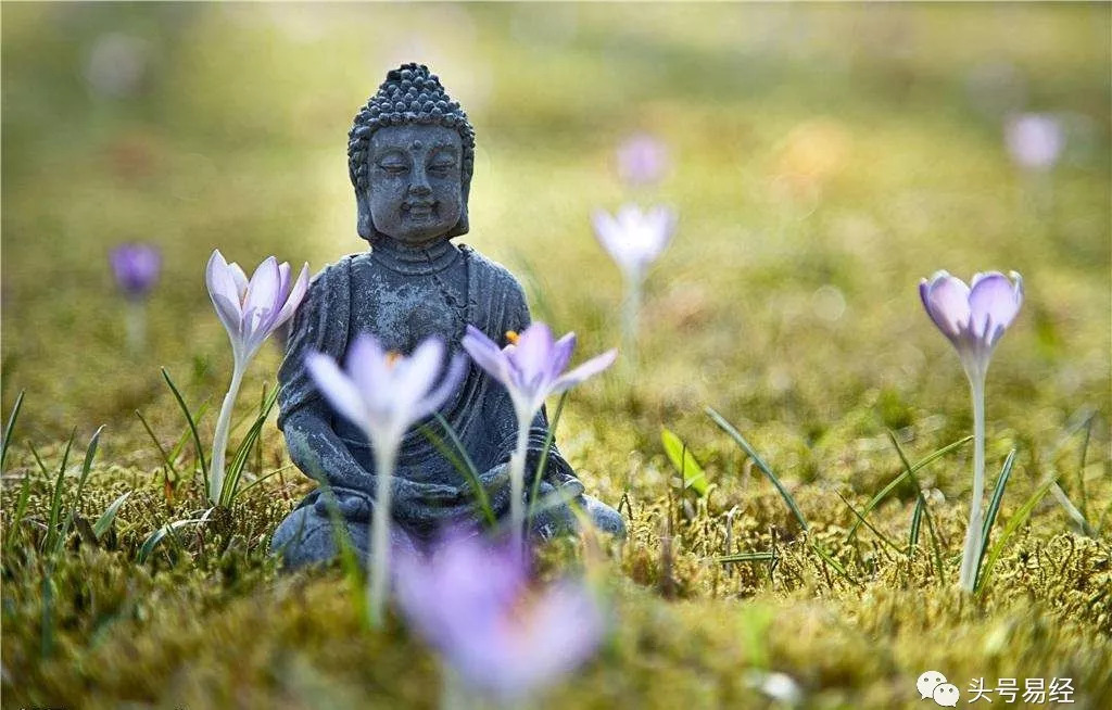 为什么佛法不提倡算命，从因果律到智慧生活的探讨,命运,挑战,自我,第1张