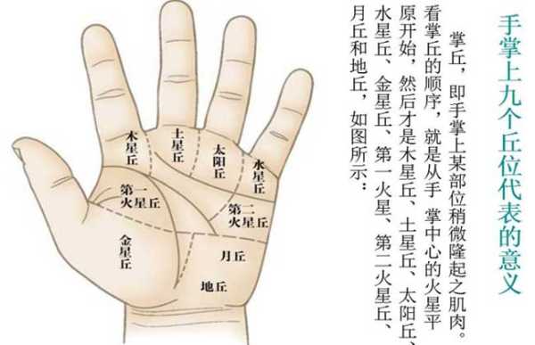 揭秘手相学的奥秘，为什么算命都看手相准呢？,命运,算命,美好,第1张