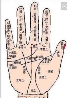 揭秘手纹断掌吉凶，传统相术的神秘解读方法,命运,事业,吉凶,第1张