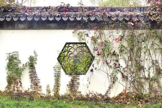 屋后贴虎，之道，揭秘如何利用虎形装饰提升家居运势,象征,希望,气场,第1张