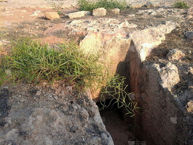 上坟见杂草，探究其背后的预兆与解梦含义,象征,希望,解梦,第1张