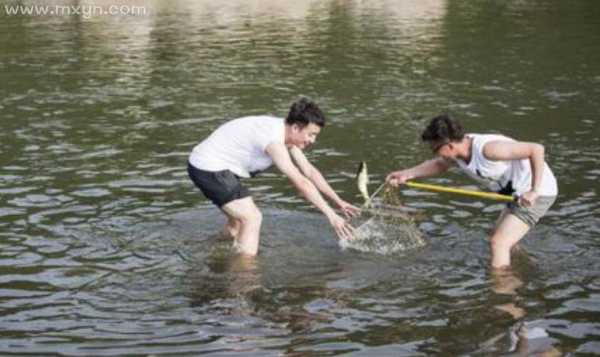 周易解梦，逮鱼之兆，预示着什么？,象征,事业,解梦,第1张