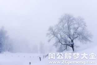 梦见佛前下雪的寓意解析，周公解的神秘启示,象征,事业,解梦,第1张