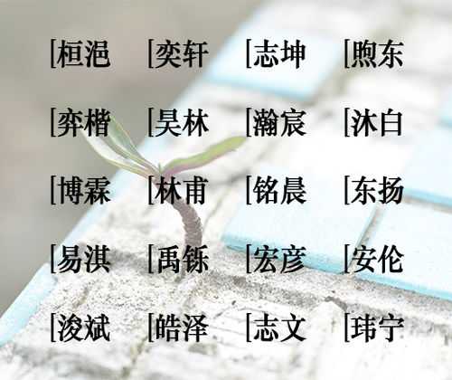 独特韵味，个性扬，名字的宝宝取名攻略,希望,宝宝取名,美好,第1张