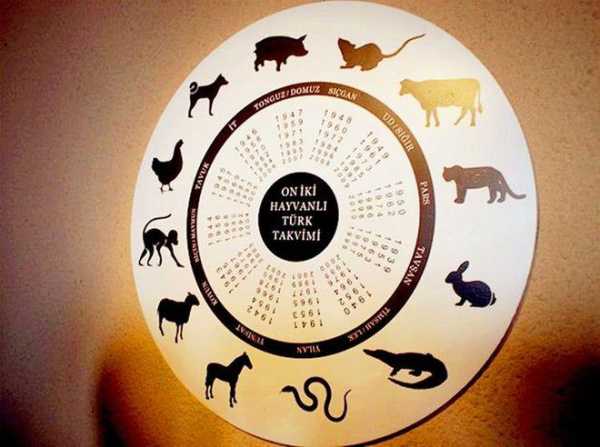 揭秘算命老太的生肖之谜，探寻她的生肖动物之谜,象征,命运,算命,第1张