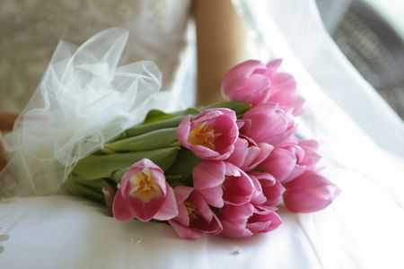 星座本周吉日吉时，抓住星象红利，让甜蜜满溢！,希望,吉时,星座,第1张