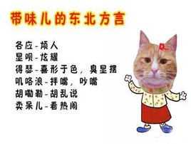 猫咪算命,东北方言中的神秘解读,你知道它怎么叫吗?,事业,算命,健康状况,第1张 猫咪算命,东北方言中的神秘解读,你知道它怎么叫吗?,事业,算命,健康状况,第1张