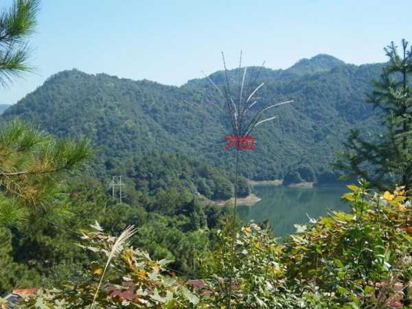 珠海寻秘，揭秘珠海各地求签算命的宝地,算命,求签,风水,第1张