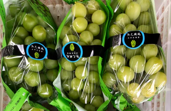 丰收村开业大吉!揭秘丰收村开业时间表,精彩活动抢先看!,合作,开业庆典,第1张 丰收村开业大吉!揭秘丰收村开业时间表,精彩活动抢先看!,合作,开业庆典,第1张