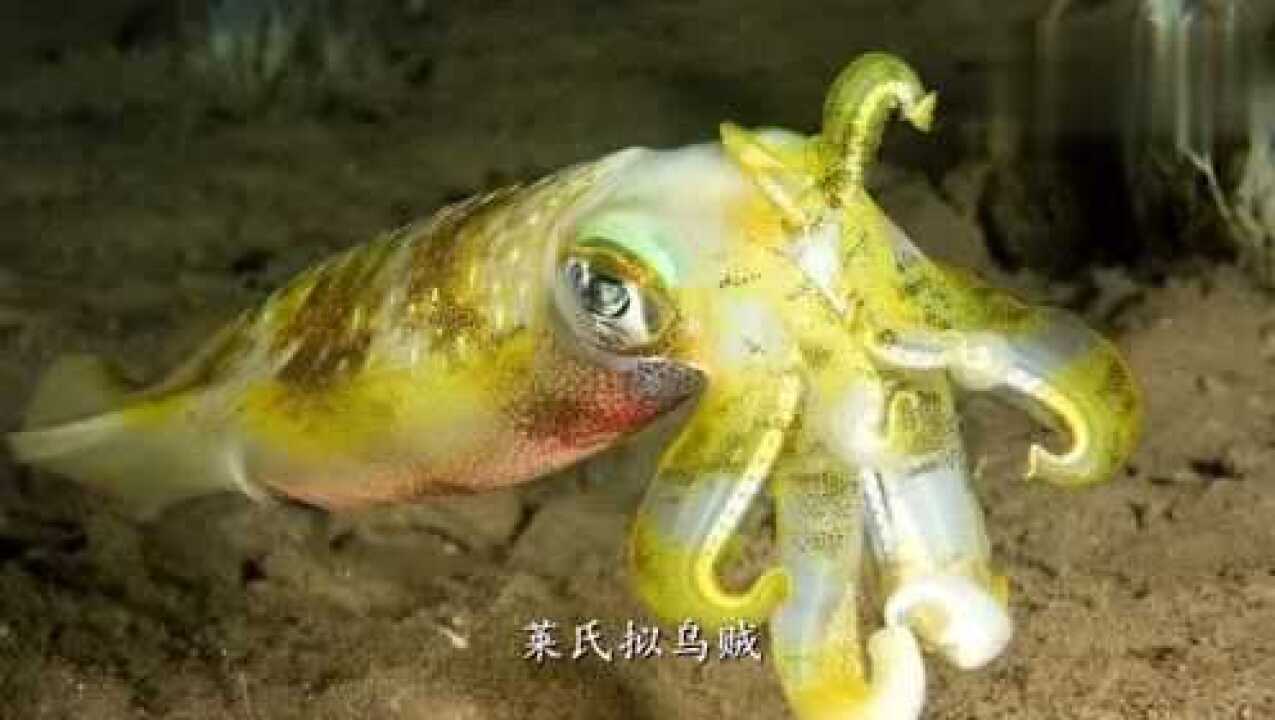 揭秘十二星座，她们偏爱哪种校服女？,十二星座,气场,美好,第1张