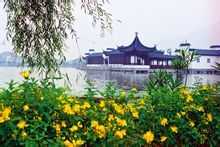 玉城馨苑诚心求签，探寻古韵的神秘之旅,事业,求签,吉凶,第1张