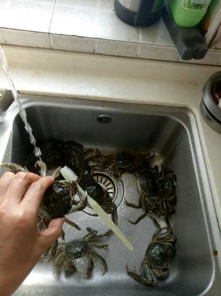 解梦螃蟹夹脚的寓意，揭示潜意识中的困境与解脱,象征,挑战,解梦,第1张