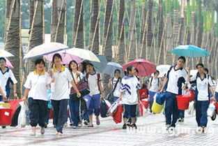 梦到上学选课，周公解的寓意及心理解读,希望,自我,解梦,第1张