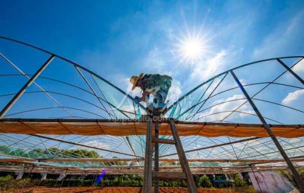 赣州农圃项目开工，详细时间表公布，助力乡村振兴,合作,成功,开业庆典,第1张