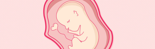 周公解梦揭秘，哪些梦境预示着怀孕？,象征,希望,解梦,第1张