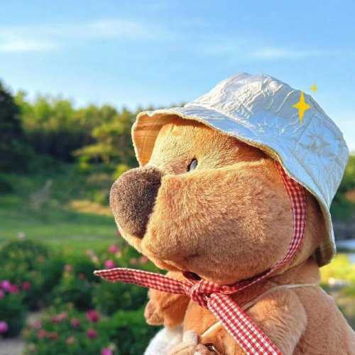 黄中宫求签文化探秘,古老祈福方式的现代传承,象征,事业,求签,第1张 黄中宫求签文化探秘,古老祈福方式的现代传承,象征,事业,求签,第1张