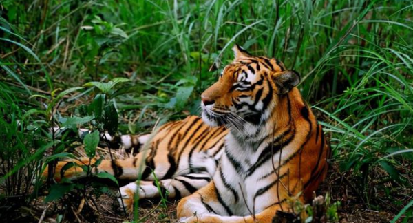 睡梦预示什么?周公解梦为你揭晓神秘寓意,象征,挑战,解梦,第1张 睡梦预示什么?周公解梦为你揭晓神秘寓意,象征,挑战,解梦,第1张