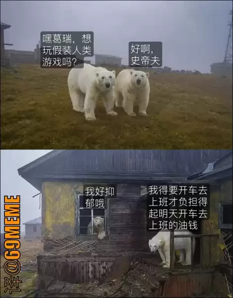 比熊叫声吉凶，揭秘图片、中的神秘预兆,挑战,吉凶,解读,第1张