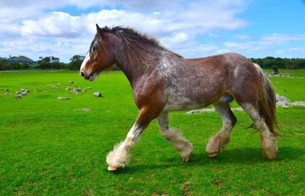 马雅姓名,揭秘名字背后的吉凶奥秘,命运,吉凶,星座,第1张 马雅姓名,揭秘名字背后的吉凶奥秘,命运,吉凶,星座,第1张