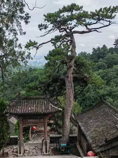 长沙松柏寺求签,探寻古刹的神秘魅力,命运,求签,能量,第1张 长沙松柏寺求签,探寻古刹的神秘魅力,命运,求签,能量,第1张