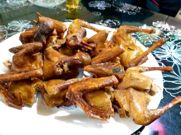 吃鸽子，探寻中的美食奥秘,象征,事业,美好,第1张