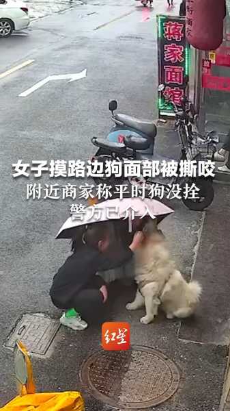 梦到路边摸狗的预兆解析，揭秘梦境中的神秘寓意,象征,挑战,希望,第1张