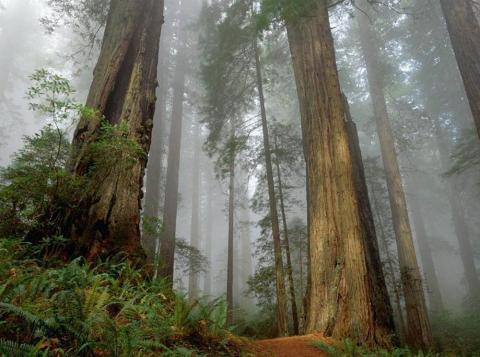 探寻佳县白云山求签的神秘之旅，费用揭秘与心灵体验,求签,解读,时光,第1张